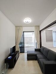 Terrene At Bukit Timah (D21), Condominium #460564121